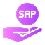 SAP Support and Maintenance